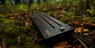 Вилорог: удивительное создание с выдающейся судьбой