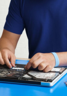 Венценосный голубь: элегантный символ тропических лесов