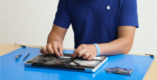 Венценосный голубь: элегантный символ тропических лесов