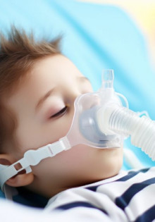 Удивительный мир китов: всё, что вы хотели знать о этих гигантах океана