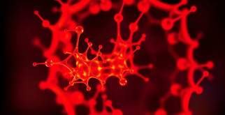 Иммуномодуляторы в отоларингологии: как они помогают бороться с болезнями уха, горла и носа