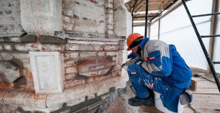 Волосистая цианея: Удивительный мир экзотического растения