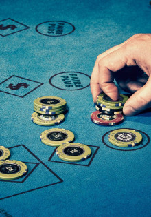 Маврикийский дронт: загадка исчезнувшего гиганта