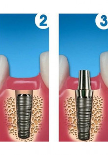 Необычные мартышки: Погружаемся в мир забавных обезьян