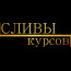 Удивительный мир австралийской фауны: кто обитает на загадочном континенте?