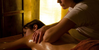 Выпи: загадочные обитатели ночного неба