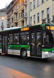 Фиброзная дисплазия бедренной кости у детей: что это такое и как с этим справиться