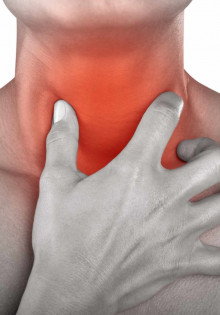 Канадская рысь: загадочный хищник северных лесов