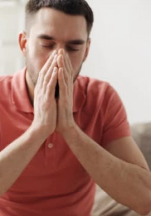 Курица: Забавная птица, которая завоевала сердца людей