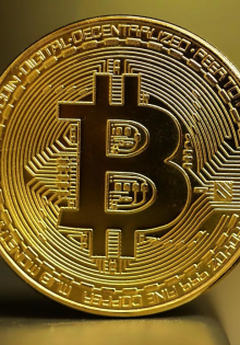 Как выглядит грач: Секреты уличного жителя и красавца неба