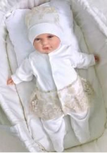 Пингвины: удивительные жители холодных просторов!