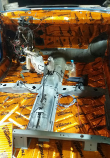 Почему смешные ролики про животных заставляют нас смеяться до слез?