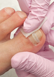 Наполеон рыба: тайны подводного гиганта