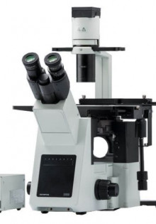 Дизартрия у ребенка: что это и какие причины стоят за этим нарушением?