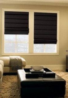 Циветты: Удивительные создания южных лесов