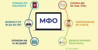 Удивительный животный мир Китая: от редких видов до уникальных экосистем