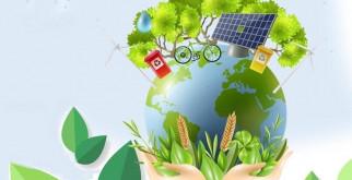 Монашенка: Удивительная Жизнь в Дикой Природе