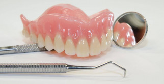 Белохвостый олень: король лесов, строгий эстет и симпатяга