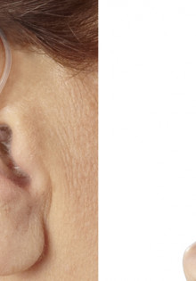 Вьюрковые: очарование и разнообразие пернатых друзей