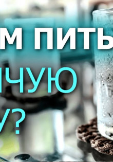 Очарование американского бобтейла: питомцы с характером и стилем