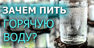 Очарование американского бобтейла: питомцы с характером и стилем