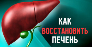 Восстановление печени: ключ к здоровью
