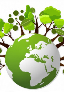 Разработка экологического проекта: примеры и рекомендации