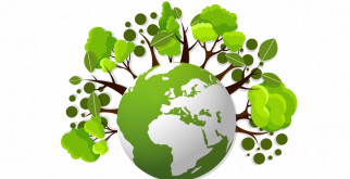 Разработка экологического проекта: примеры и рекомендации