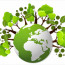 Разработка экологического проекта: примеры и рекомендации