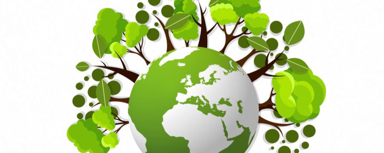 Разработка экологического проекта: примеры и рекомендации