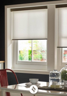 Голь на выдумки хитра: как животные изобретают спасение и адаптацию