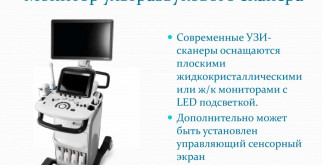 Как рычит лев: Тайны короля джунглей