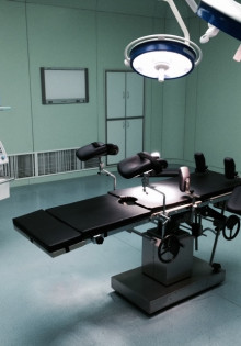 Канюк: Величественный Хищник Небес