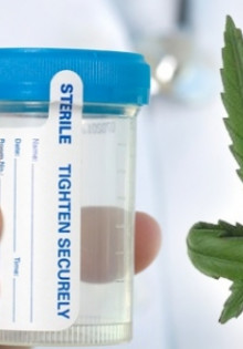 Инсектофобия: Что это такое и как с ней справиться?