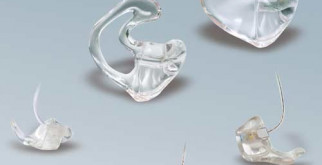 Септический шок: что это такое и как его распознать?