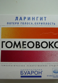 Загадочный хобот слона: удивительный инструмент природы