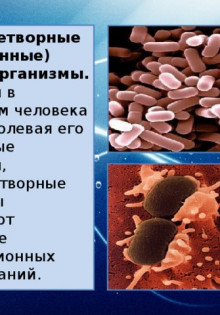 Ureaplasma parvum у мужчин: что это и почему важно знать