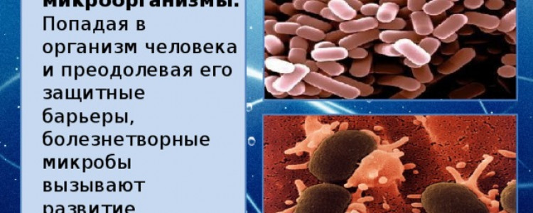 Ureaplasma parvum у мужчин: что это и почему важно знать