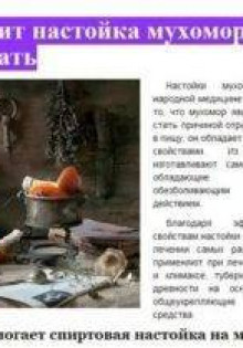 Тукан: Яркий Мститель Тропиков — Узнайте Больше о Его Уникальной Красоте!