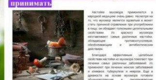 Тукан: Яркий Мститель Тропиков — Узнайте Больше о Его Уникальной Красоте!