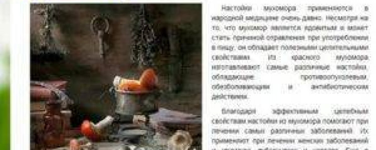 Тукан: Яркий Мститель Тропиков — Узнайте Больше о Его Уникальной Красоте!