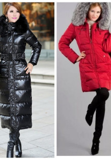 Кулик сорока: удивительный пернатый житель нашего края