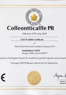 Добровольный сертификат ГОСТ Р: что это и зачем он нужен?