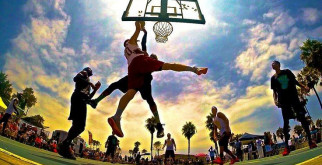 Буроголовая гаичка: маленький артист среди пернатых