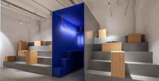 Загадочные красавцы подводного мира: рыба хирург