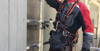 Аполлон: Летящая Красота Гималаев и Альп