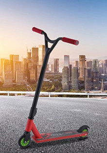 Погружаемся в удивительный мир виверр: загадочные существа наших лесов