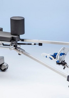 Серый попугай: умные друзья или просто забавные пернатые?