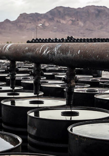 Полиптерус: Удивительный обитатель пресных вод