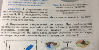 Фосса: загадочный хищник Мадагаскара